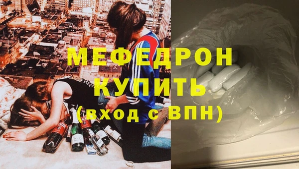 индика Осинники