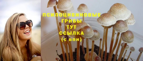 стаф Няндома