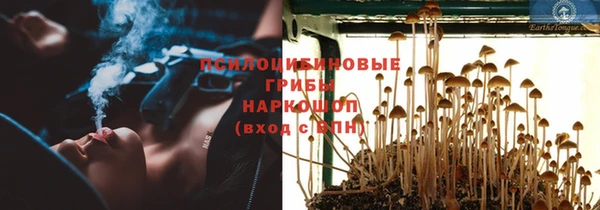 кокс Осташков