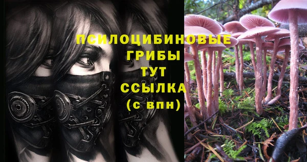 кокс Осташков