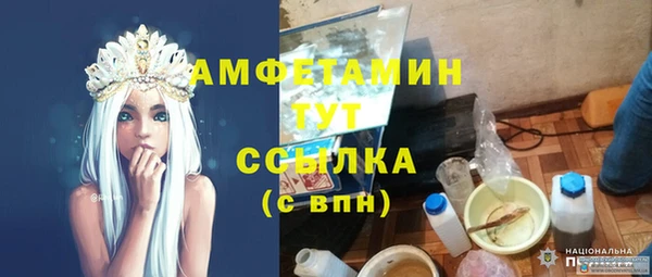 индика Осинники