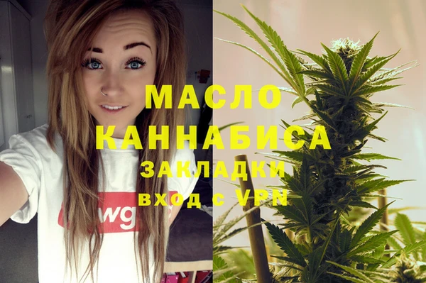 индика Осинники