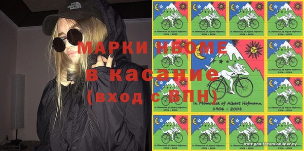 стаф Няндома