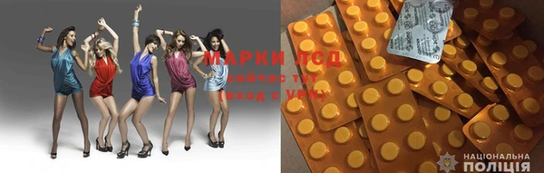 индика Осинники