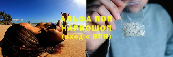 индика Осинники