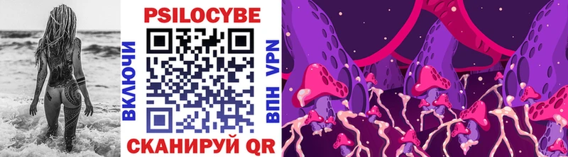 Купить  Клинцы  Галлюциногенные грибы Magic Shrooms 